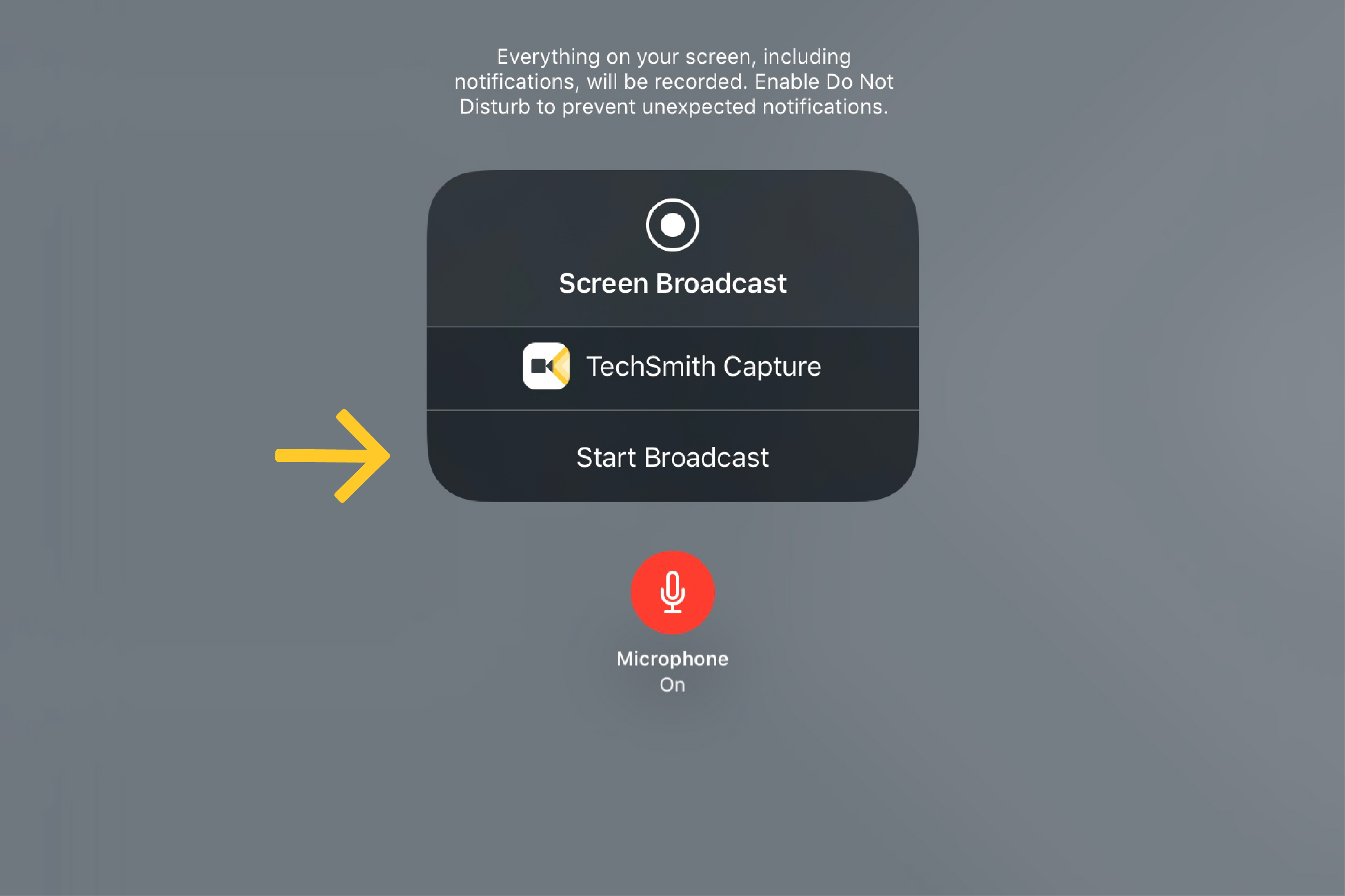 TechSmith Capture Screen Broadcast button
