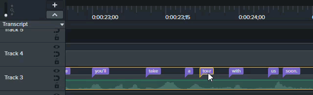 Faire glisser le mot dans la barre de transcription