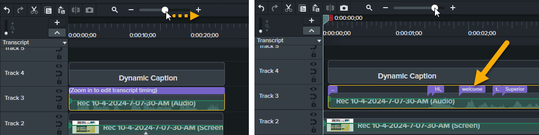 Zoom sur le plan de montage pour afficher les mots transcrits