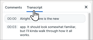 Transcript tab in the Comments pane