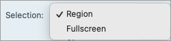 Options de sélection dans Snagit pour Mac