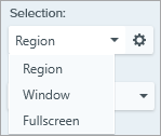 Options de sélection dans Snagit pour Windows