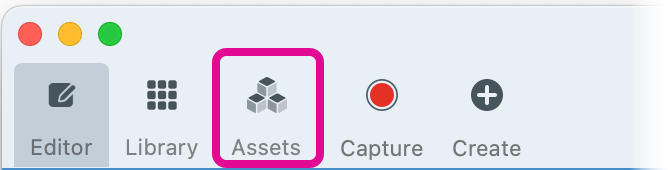 Snagit for Mac の [アセット] タブ