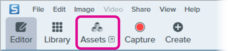 Snagit for Windows の [Assets] ボタン
