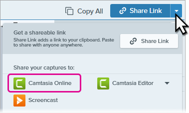 Option „Camtasia Online“ im Weitergabe-Menü