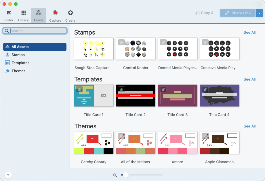 Explorar activos en Snagit para Mac