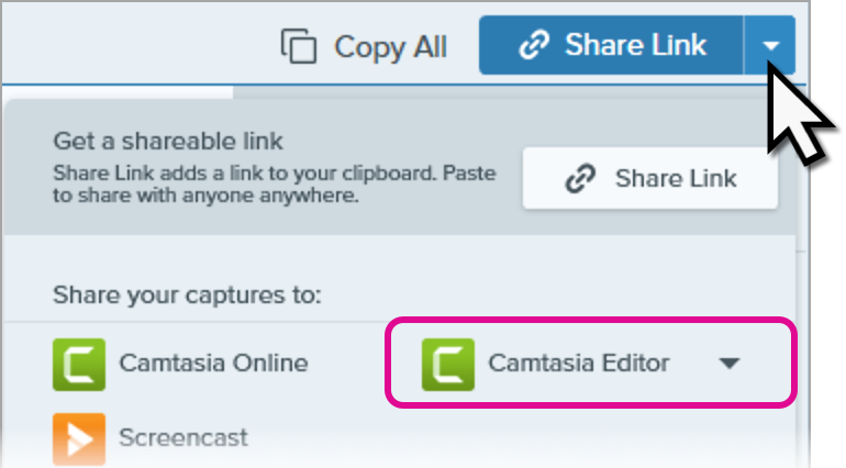 Camtasia Editor en el menú desplegable Compartir