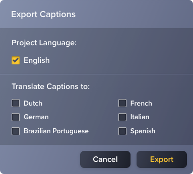Export captions dialog