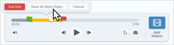 Save As New Video button