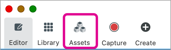 Pestaña Assets en Snagit para Mac
