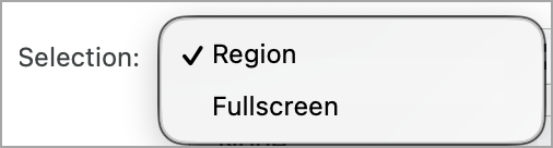 Opciones de selección en Snagit para Mac