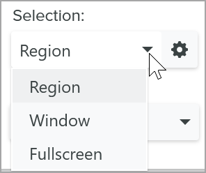 Opciones de selección en Snagit para Windows
