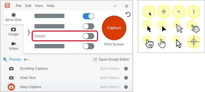 Option Capturer le curseur désactivée et pack de tampons Step Capture Cursors