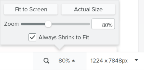 Options de zoom dans Snagit Editor