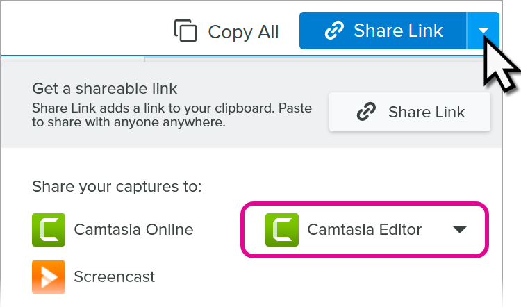 Camtasia Editor in the Share dropdown