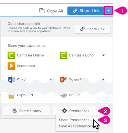 Einstellungen für die Weitergabe in der Weitergabe-Dropdownliste von Snagit für Windows