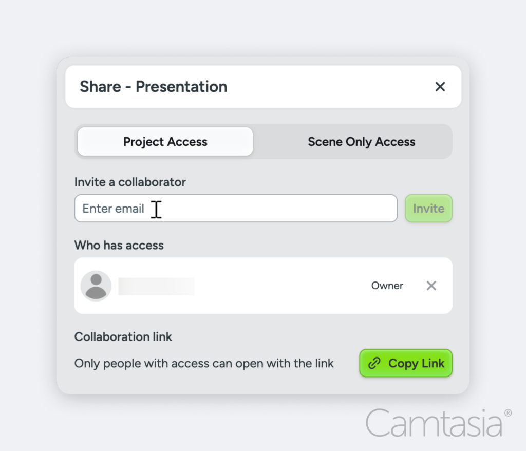 Grant your team project access or scene only access by adding their email to the "Invite a collaborator" section.